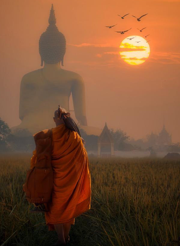 Vivir el Estilo de Vida "Buda": Paz, Conexión y Equilibrio