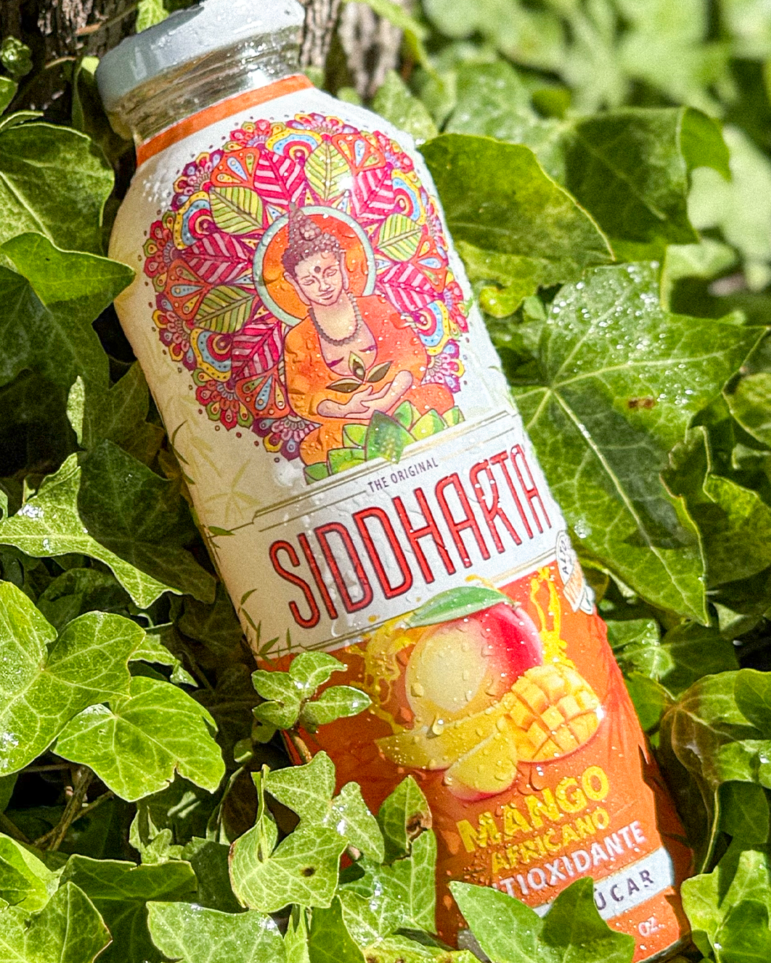 Mango Africano 475cc x 12